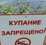 В Саткинском районе стартовал купальный сезон - Администрация Саткинского района