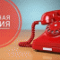 На территории Саткинского района работает «горячая линия» по вопросам отлова бродячих животных - Администрация Саткинского района