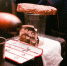 Передвижная выставка о Великой Отечественной войне – «Поезд Победы» посетит Челябинскую область - Администрация Саткинского района