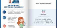 На предстоящих выборах жители Саткинского округа смогут проголосовать дистанционно - Саткинский рабочий