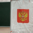 Выборы депутатов ЗСО: в Саткинском округе начался третий день голосования - GovoritSatka.Ru