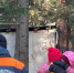 Туристку нашли! Спустя четыре дня пропавшую Полину Захарову обнаружили в Тыгынских болотах - GovoritSatka.Ru