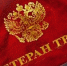Кто и как может получить звание «Ветеран труда». Полезная информация для жителей Саткинского округа - GovoritSatka.Ru