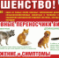 Спасти от бешенства: саткинская ветлечебница проводит бесплатную вакцинацию животных - GovoritSatka.Ru