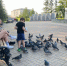 «Где жить лучше?»: саткинцы всё чаще предпочитают комфортному центру города экологический пригород - GovoritSatka.Ru