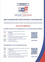 В Челябинской области стартовал прием заявлений на дистанционное электронное голосование
